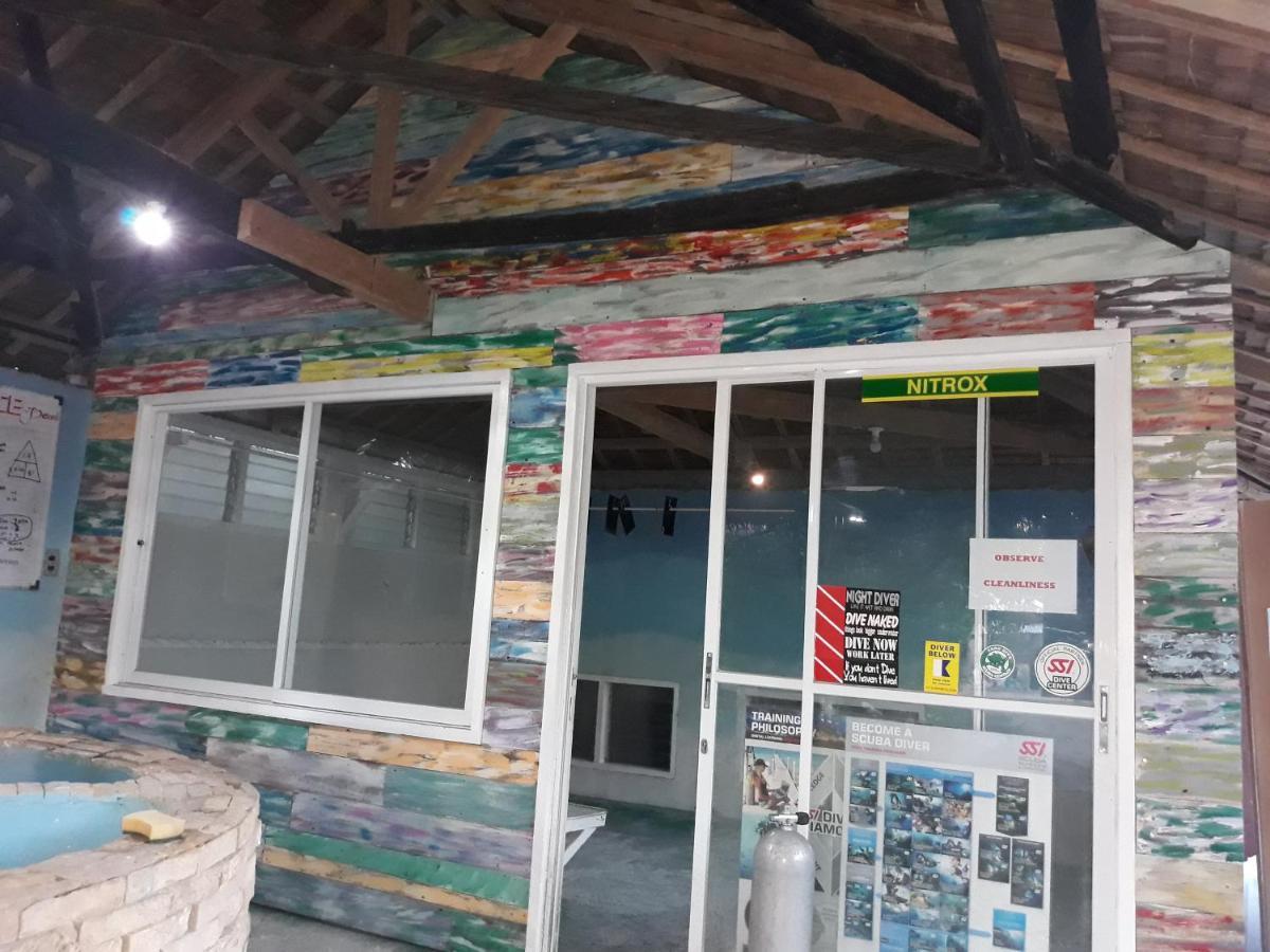 The Shark'S Tail Dive Center Hotel Daanbantayan Eksteriør billede