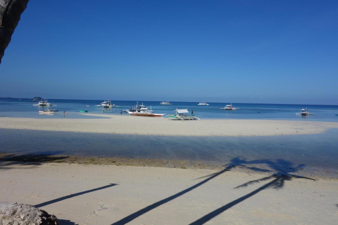 The Shark'S Tail Dive Center Hotel Daanbantayan Eksteriør billede