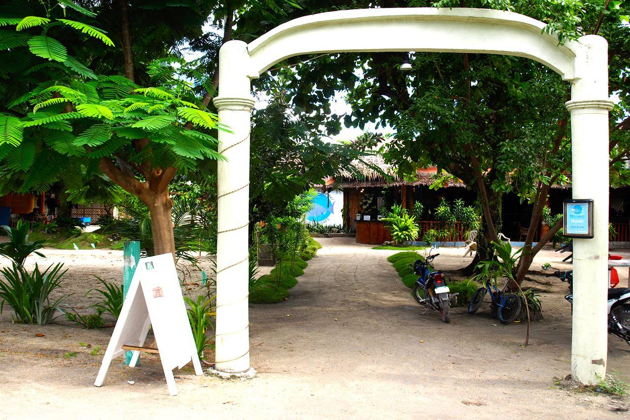 The Shark'S Tail Dive Center Hotel Daanbantayan Eksteriør billede
